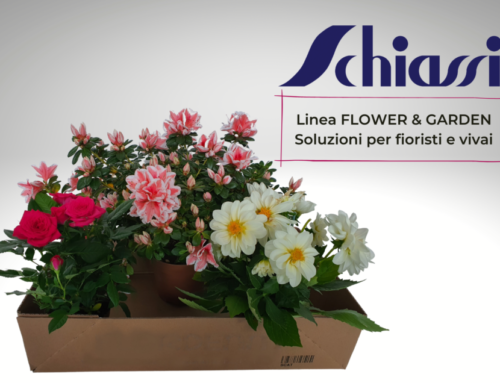 Packaging per fiori e piante: proteggi e valorizza le tue composizioni