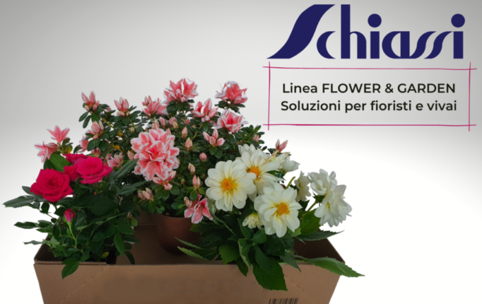 packaging fiori piante