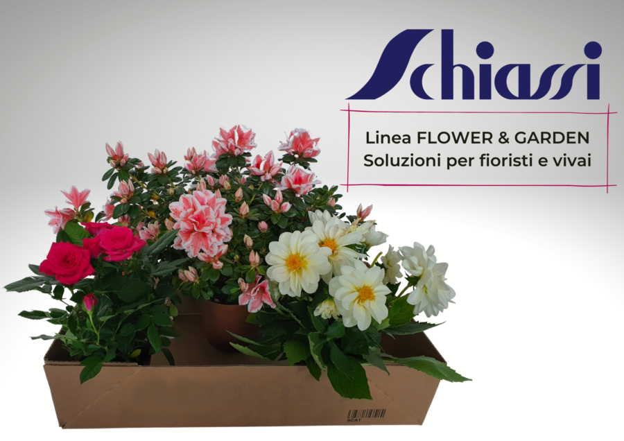 packaging per fiori e piante