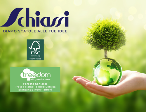 Foresta Schiassi e certificazione FSC a difesa del patrimonio verde