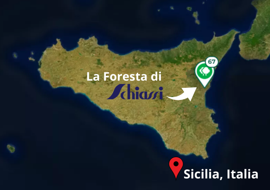 foresta sicilia