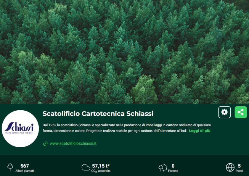 treedom schiassi foresta