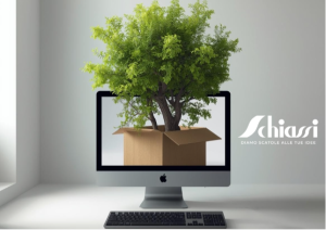 schiassi sostenibilità scatole